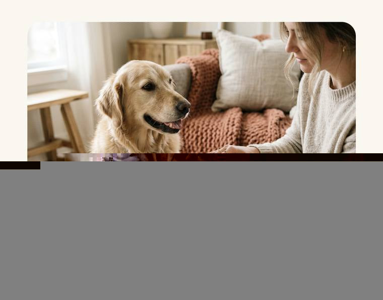 Massaging balm into a dog's paw